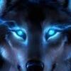dsyf_bruce1 dsyf_bruce1